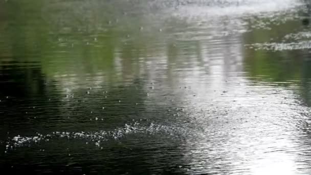 Lago de primavera con aguas burbujeantes — Vídeo de stock