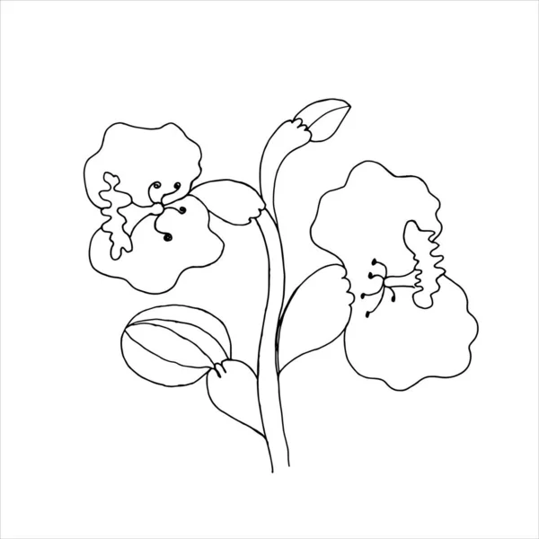 Flores blancas y negras. La versión original. Doodle. Minimalismo. — Vector de stock