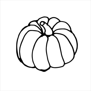 Olgun balkabağı. Karalama. Siyah beyaz görüntü. Minimalizm. Vektör grafikleri. Beyaz arka planda izole edilmiş. Menü tasarımı için.