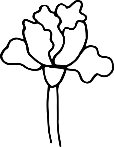 Uma Flor Fantástica Doodle Imagem Preto Branco Minimalismo Gráficos Vetoriais —  Vetores de Stock