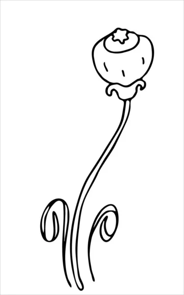 Uma Flor Fantástica Doodle Imagem Preto Branco Minimalismo Gráficos Vetoriais —  Vetores de Stock