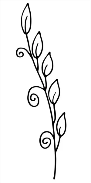 Bunga Yang Fantastis Doodle Citra Hitam Dan Putih Minimalisme Grafis - Stok Vektor