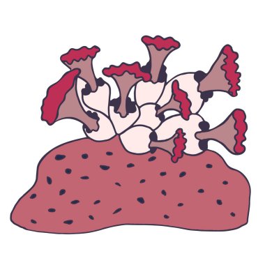 Harika bir çiçek. Karalama. Siyah beyaz görüntü. Minimalizm. Vektör grafikleri. Beyaz arkaplanda izole.