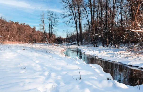 Krajobraz Zimowy Polsce Śnieg Świeżym Powietrzu Natura Rzeki Lasu Zimny Zdjęcie Stockowe