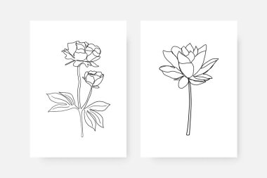 Devamlı çiçek posterleri. Tek çizgi botanik çizimli, soyut bir duvar dekoru seti. Basit, minimalist bir tarz. Vektör sanatı