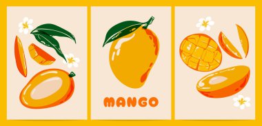 Mango posterleri. Yeşil yapraklı klasik tropikal meyve, olgun mangolu renkli yemek afişleri. Vektör soyut arkaplan seti.