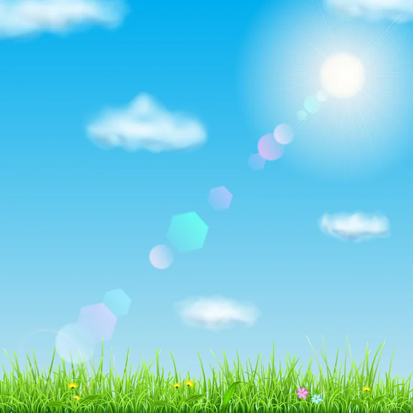 Spring background with green grass — Stock Vector