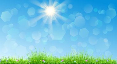 arka plan bahar yeşil çimen