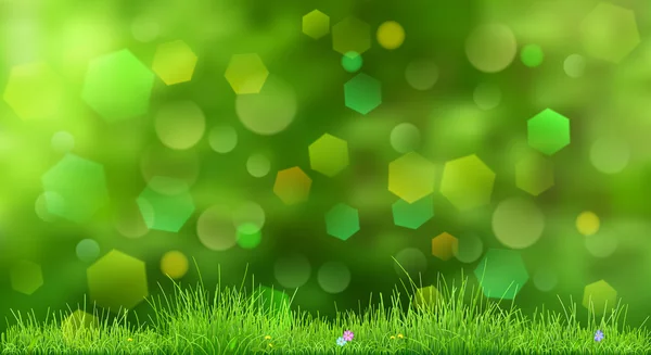 Spring background with green grass — Stock Vector