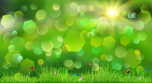 Spring background with green grass — Stock Vector