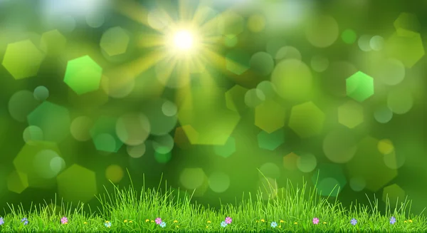 Primavera sfondo con erba verde — Vettoriale Stock