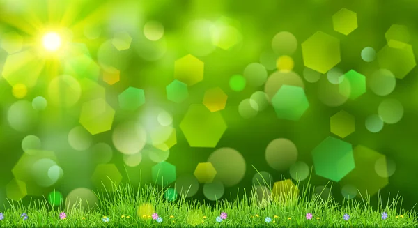 Spring background with green grass — Stock Vector