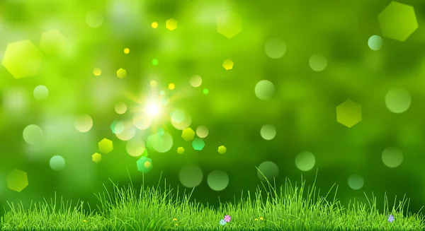 Spring background with green grass — Stock Vector
