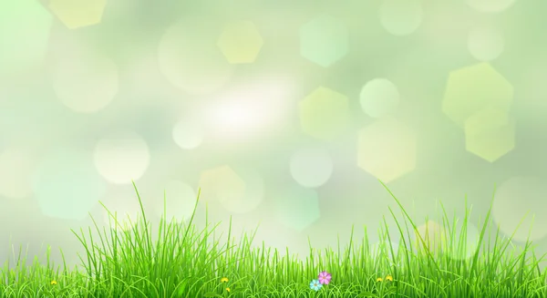 Frühling Hintergrund mit grünem Gras — Stockvektor