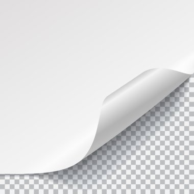 Kıvrımlı köşe beyaz sayfaya