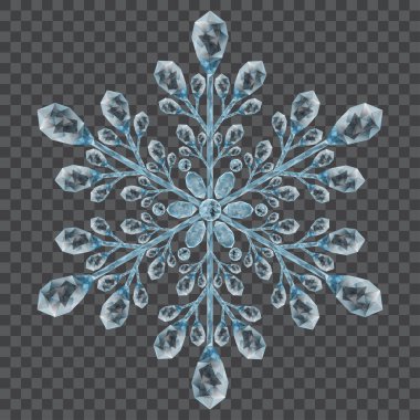 Büyük kristal kar tanesi