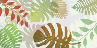 Egzotik orman bitkilerinin geçmişi. Tropik palmiye yaprakları. Yağmur ormanı illüstrasyonu, beyaza çok renkli.