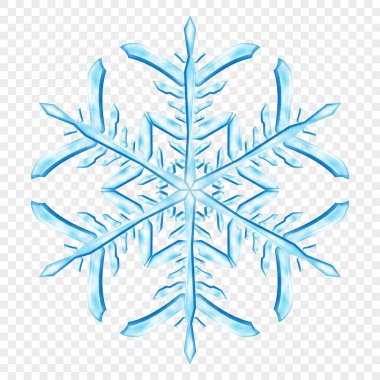 Açık mavi renklerde, şeffaf arkaplanda izole edilmiş büyük, şeffaf Noel kar taneleri. Sadece vektör biçiminde şeffaflık