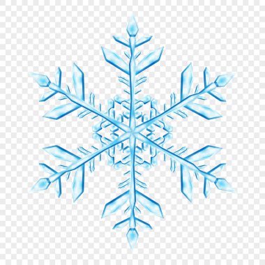 Açık mavi renklerde, şeffaf arkaplanda izole edilmiş büyük, şeffaf Noel kar taneleri. Sadece vektör biçiminde şeffaflık