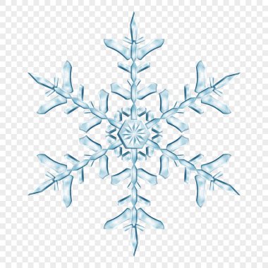 Açık mavi renklerde, şeffaf arkaplanda izole edilmiş büyük, şeffaf Noel kar taneleri. Sadece vektör biçiminde şeffaflık