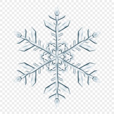 Açık mavi renklerde, şeffaf arkaplanda izole edilmiş büyük, şeffaf Noel kar taneleri. Sadece vektör biçiminde şeffaflık