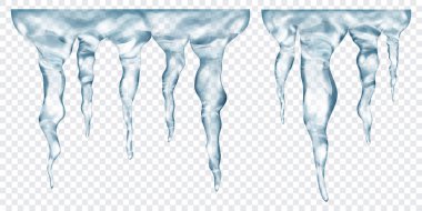 Üstte birbirine bağlı, şeffaf arkaplanda izole edilmiş saydam gri gerçekçi buz saçakları grubu. Sadece vektör biçiminde şeffaflık