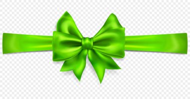 Yatay kurdeleli güzel yeşil fiyonk, gölgesi var, şeffaf arkaplanda izole edilmiş. Sadece vektör biçiminde şeffaflık