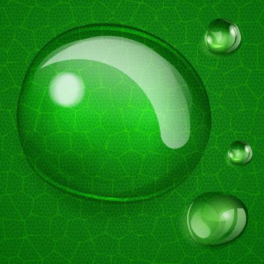 Büyük ve küçük arka plan üzerinde yeşil yaprak düşer