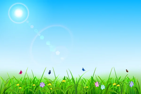 Spring background — Stock Vector