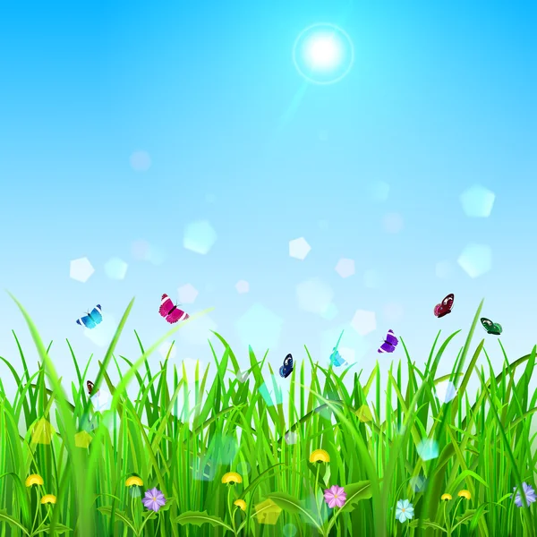 Spring background — Stock Vector