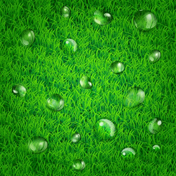 Background with grass and water drops — Stock Vector