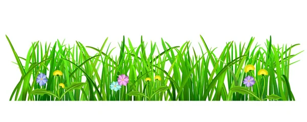 Groen gras — Stockvector