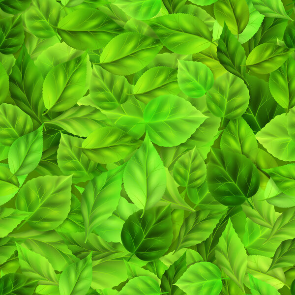 Seamless pattern of green leaves