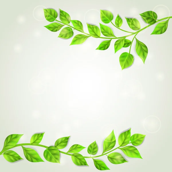 Deux branches aux feuilles vertes — Image vectorielle