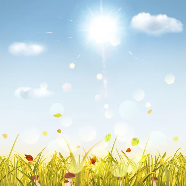 Autumn background with grass, mushrooms, sun and clouds