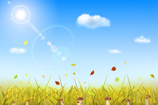 Herbst Hintergrund mit Gras, Pilzen, Sonne und Wolken — Stockvektor