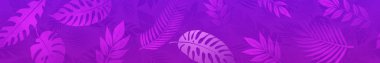 Yatay ve pürüzsüz pankartlar, çeşitli tropik palmiye yapraklarının mor tonlarda olduğu minimalist bir tasarım sergiliyor..