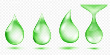 Üç boyutlu efekt için ayrıntılı röfleler ve gradyanslar içeren yeşil su damlaları seti, şeffaf bir arkaplan ile altında hafif gölge yansımaları ile ayarlanır. Sadece vektör biçiminde şeffaflık.