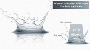 Yansıması olan şeffaf su tacı, iki katmandan oluşur: önden ve arkadan. Gri renkli bir su damlası, şeffaf arkaplanda izole edilmiş. Sadece vektör dosyasında şeffaflık