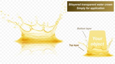 Yansıması olan şeffaf su tacı, iki katmandan oluşur: önden ve arkadan. Sarı renkli su sıçraması, şeffaf arkaplanda izole edilmiş. Sadece vektör dosyasında şeffaflık