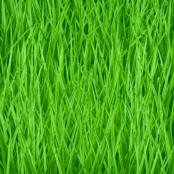 Background of green grass — Stock Vector