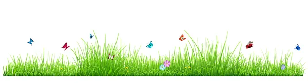 Grünes Gras mit Blumen und Schmetterlingen — Stockvektor