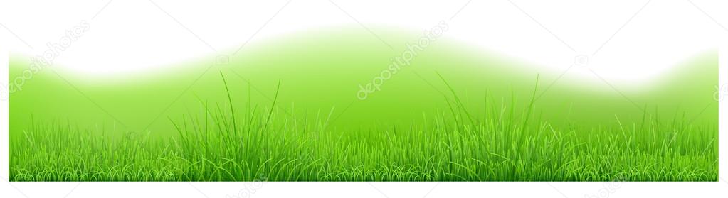 Background with hills and green grass