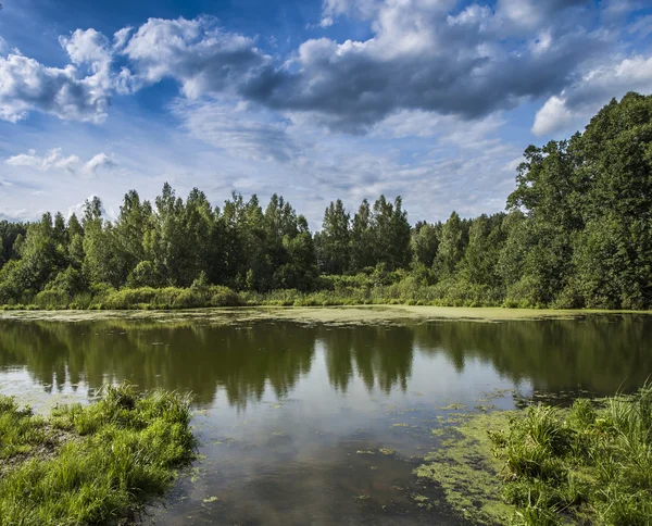 Ländliche Sommerlandschaft lizenzfreie Stockfotos