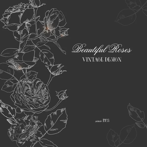 Belle rose — Vettoriale Stock