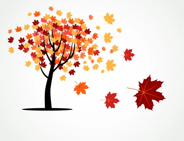 Podzimní strom javor — Stockový vektor