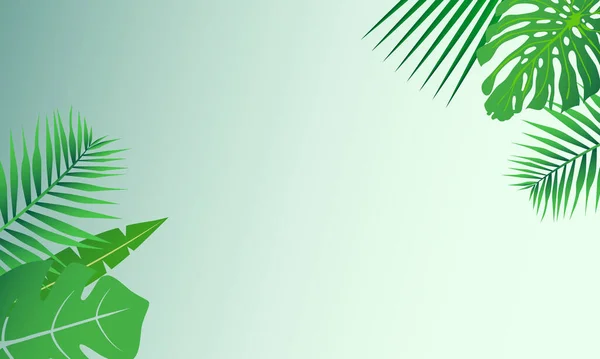 Boş bir alanda tropik yapraklar. Egzotik orman bitkilerinin yapraklarıyla süslenmiş zarif bir zemin. Doğal çerçeve veya sınır