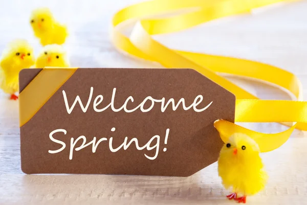 Påsk etikett med kycklingar, text Welcome Spring — Stockfoto