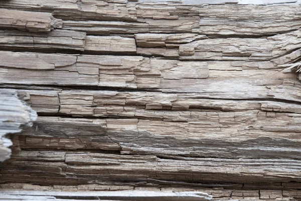 Fundo rústico de madeira ou textura, espaço de cópia — Fotografia de Stock