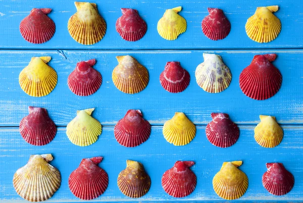 Yellow And Red Seashells As Texture On Blue Wooden Background — Zdjęcie stockowe